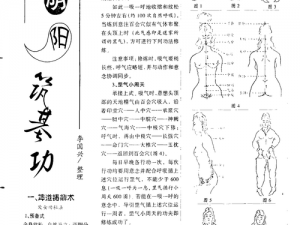 开局剑指物法双修攻略：加点与装备详解，玩转物法双修新世界