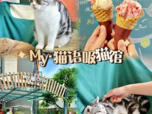 猫语咖啡：独家揭秘猫咪零食配方，营养美味共享喵星人时光