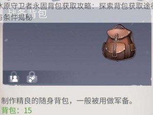 冰原守卫者永固背包获取攻略：探索背包获取途径与条件揭秘