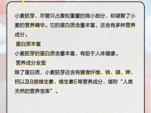 新西伯利亚州的优质小麦，富含多种营养成分，口感醇厚