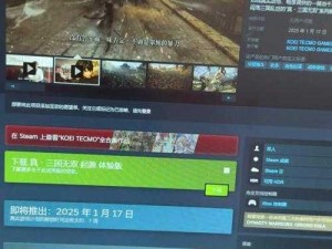 真三国无双8 Steam版启动解决方案揭秘：全面指南助你轻松解决游戏打不开困扰