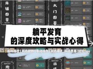 四大萌捕防御型侠客科技战略详解：我的防御心得与实战体验