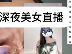 适合半夜看的直播软件，深夜不再孤单，各种精彩内容等你来发现