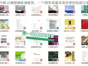 毛片啊 vi 资源库在线官网，一个拥有海量高清资源的视频分享平台