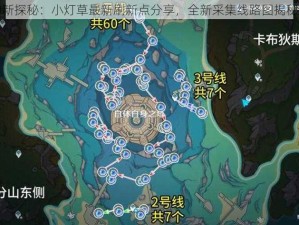 原神新探秘：小灯草最新刷新点分享，全新采集线路图揭秘之旅