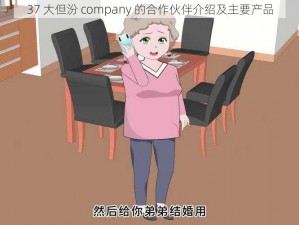 37 大但汾 company 的合作伙伴介绍及主要产品