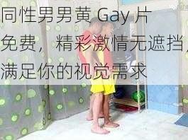 同性男男黄 Gay 片免费，精彩激情无遮挡，满足你的视觉需求