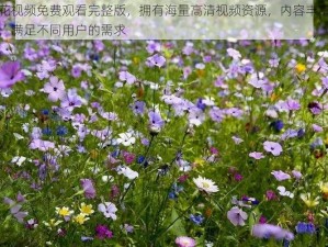 野花视频免费观看完整版，拥有海量高清视频资源，内容丰富多样，满足不同用户的需求