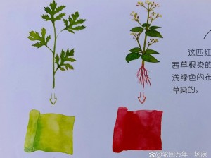 探秘原乡之土：从我的起源地看土地制作技艺