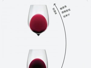 winecourse 观看视频，轻松学习葡萄酒知识