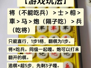 中国象棋单机对战版安装与配置详解：一览无余的教程