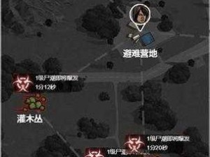 伊洛纳核平之后：家园重建的希望与挑战