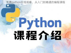 免费python在线观看，从入门到精通的编程课程