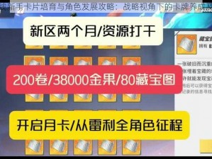 航海王热血航线新手卡片培育与角色发展攻略：战略视角下的卡牌养成及角色培养之道