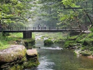 明日之后鹦嘴鱼垂钓攻略：探索最佳钓点，轻松钓获珍稀鹦嘴鱼指南