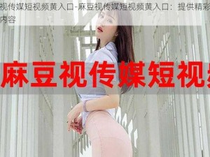 麻豆视传媒短视频黄入口-麻豆视传媒短视频黄入口：提供精彩的短视频内容