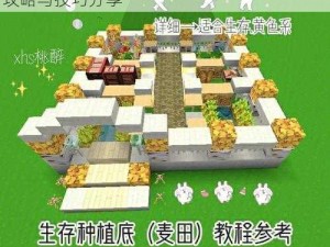 迷你世界自动农田建设指南：高效种植作物攻略与技巧分享