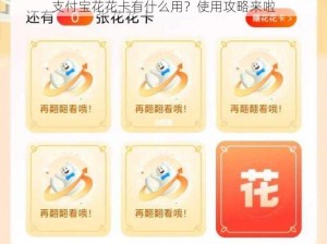 支付宝花花卡有什么用？使用攻略来啦