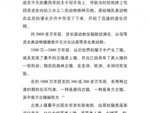 满级人类进化安装指南：配置步骤详解