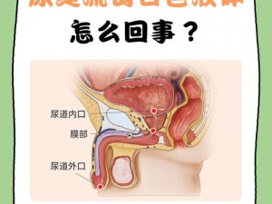 Gay18 禁男男流出白色液体：揭秘男性性反应的神秘液体