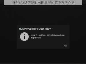 针对战地5匹配时出现黑屏的解决方法介绍