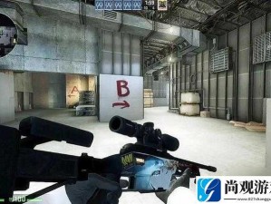 暴躁老姐的 CSGO：教你如何成为狙神