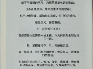 舒婷的爱情故事 2：爱的延续