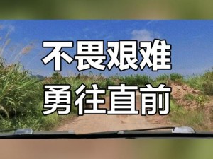 《热爱掌盟，无畏追梦——从实践中感受无尽热情》