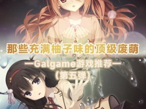 galgame网站平台_galgame 网站平台哪个好？