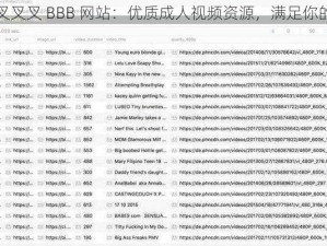 欧美叉叉叉 BBB 网站：优质成人视频资源，满足你的所有需求