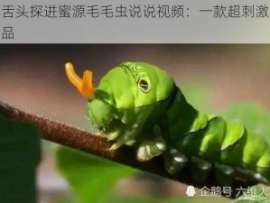 他的舌头探进蜜源毛毛虫说说视频：一款超刺激的成人用品