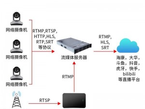 蓝莓视频打不开可能是由于网络问题、服务器维护或设备兼容性等原因引起的