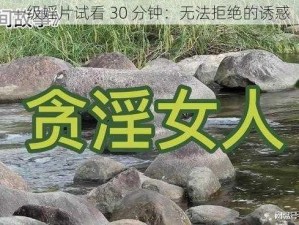 一级婬片试看 30 分钟：无法拒绝的诱惑