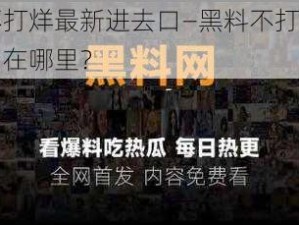 黑料不打烊最新进去口—黑料不打烊最新进入口在哪里？