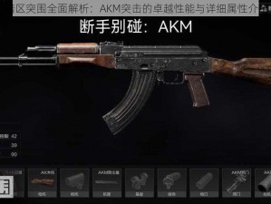 暗区突围全面解析：AKM突击的卓越性能与详细属性介绍