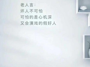 多人 po 无三观，打破传统社交限制