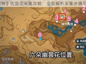 《原神》忧昙花采集攻略：全面解析采集步骤与细节