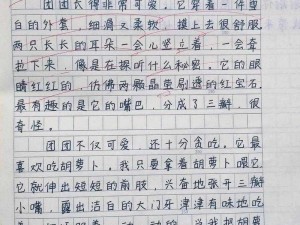 老师上课吃我的小兔兔作文—我的小兔兔在课堂上被老师吃了