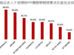 精品多人 P 群派对——满足你社交需求的最佳选择