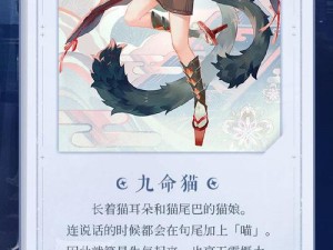 关于阴阳师初始式神九命猫：养或不养的抉择与解析