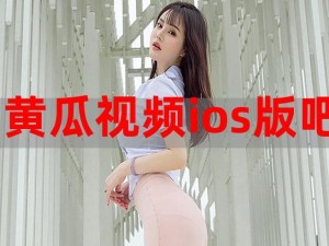 扶老二轻量版ios，一款私人定制的视频播放神器