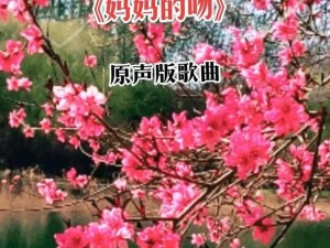 完美妈妈王艳最经典十首歌曲，带你领略温馨母爱之音，每首歌曲都有独特的魅力，让你感受母爱的伟大