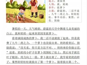 拔萝卜降黄九幺，天然提取，健康护眼