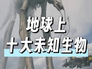 城与龙怪兽精灵大盘点：神秘生物悉数登场，探寻奇幻世界的精灵族群风采