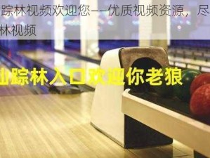 xzl 仙踪林视频欢迎您——优质视频资源，尽在 xzl 仙踪林视频