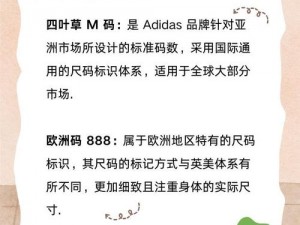 四叶草 m 码和欧洲码的 888 区别是什么