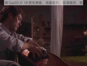 男男色情 Gay03 片 18 禁免费看，海量影片，高清画质，极致体验