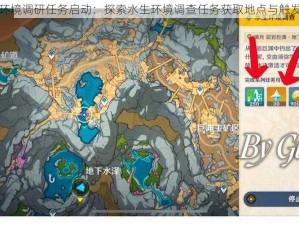 原神水生环境调研任务启动：探索水生环境调查任务获取地点与触发机制解析