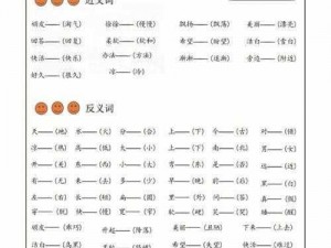 近义词产品：助你每日进步，实现长久成功