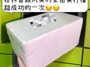 极品 BBBBBBBBBB 视频：一款让你欲罢不能的成人娱乐产品